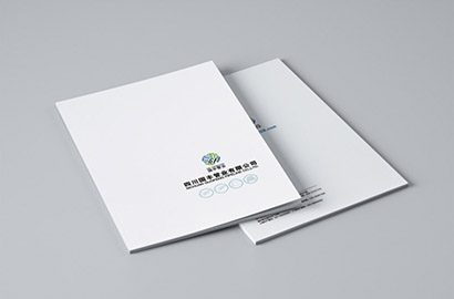 田东县画册设计：以纸为媒，镌刻城市的精神图腾