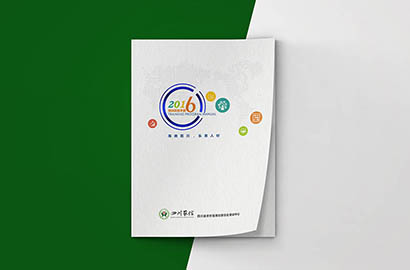 田东县画册设计：以场景为媒，打造城市体验的全新入口